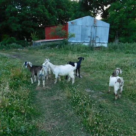 1957 To Rodo Kai To Roido Farm stay *