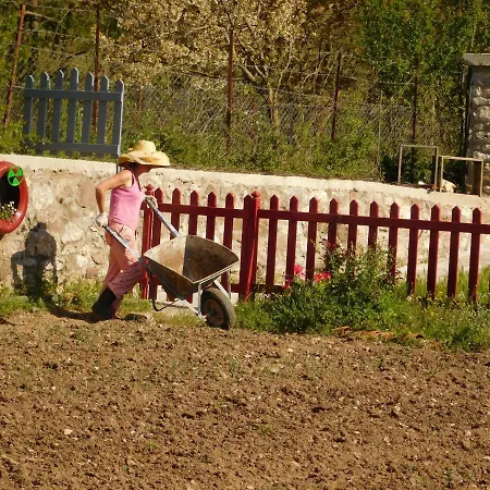 Gospodarstwo agroturystyczne 1957 To Rodo Kai To Roido *